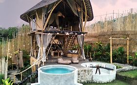 Nivriti Bali